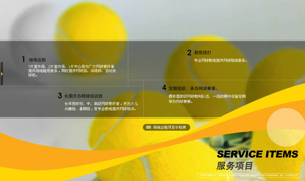深圳市牧星策劃設(shè)計有限公司金地網(wǎng)球中心項(xiàng)目網(wǎng)站 服務(wù)項(xiàng)目