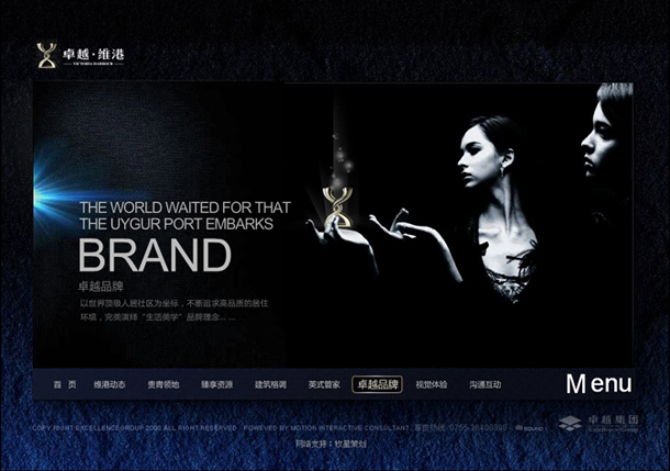 深圳市牧星策劃設(shè)計(jì)有限公司卓越維港項(xiàng)目網(wǎng)站 卓越品牌