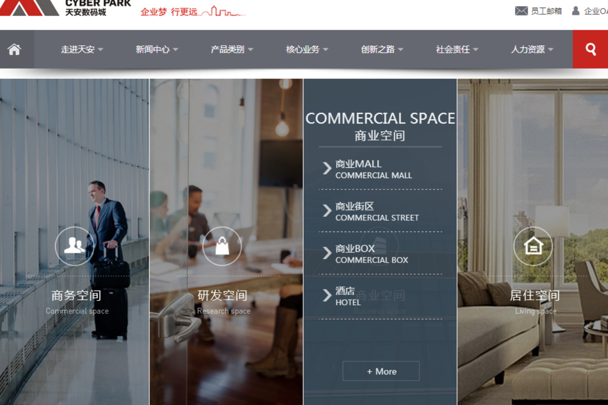 企業(yè)搭建網(wǎng)站