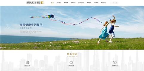 網(wǎng)站建設(shè)
