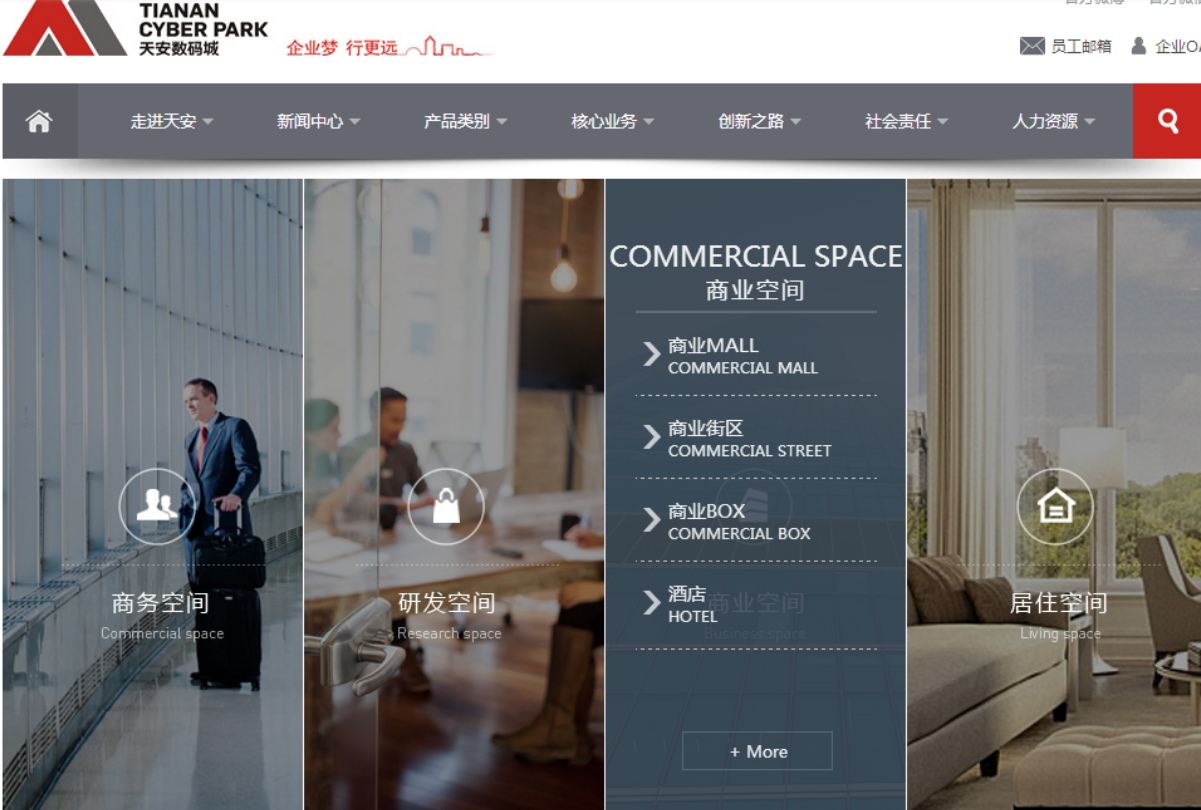 網(wǎng)站建設(shè)