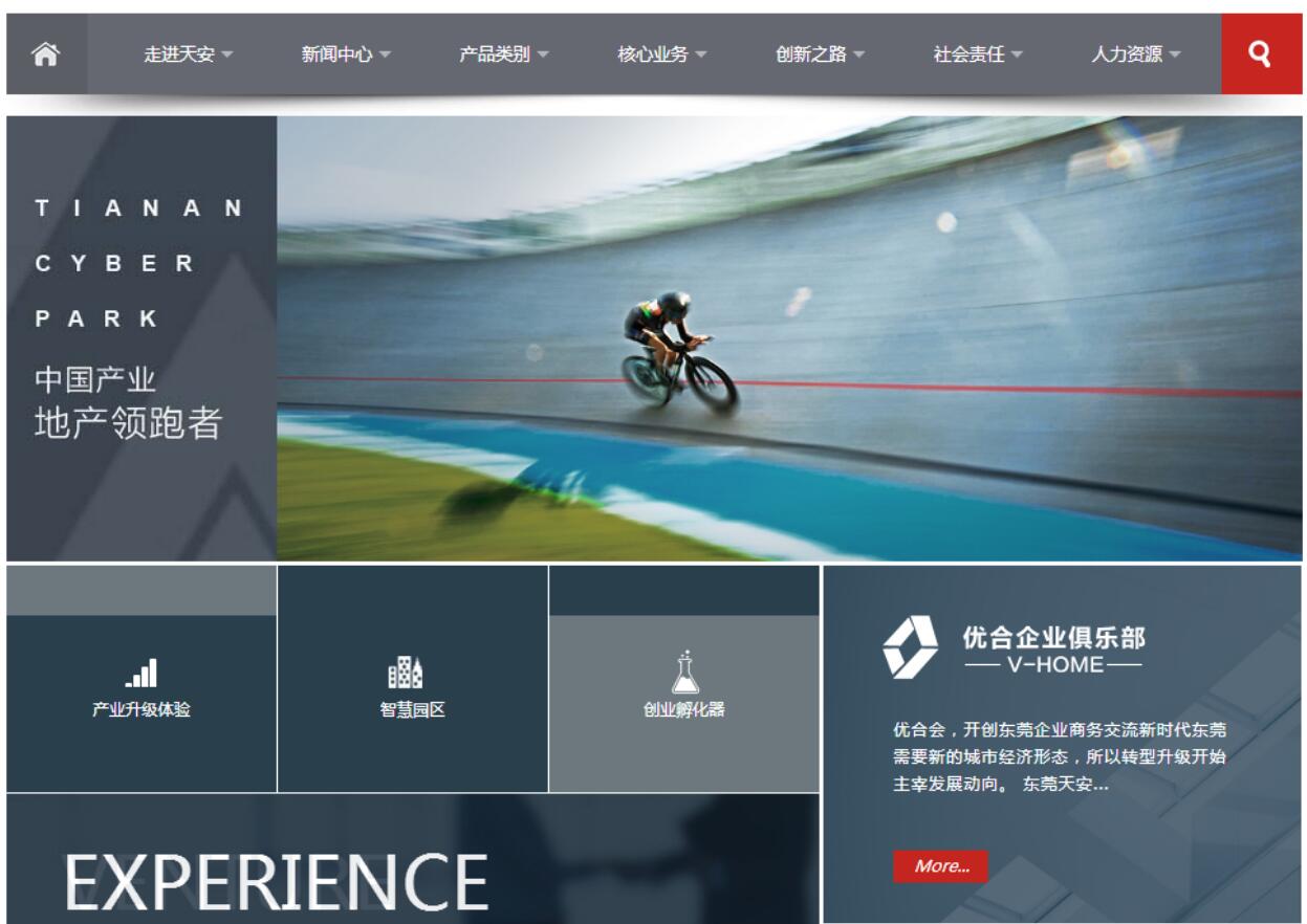 網(wǎng)站建設